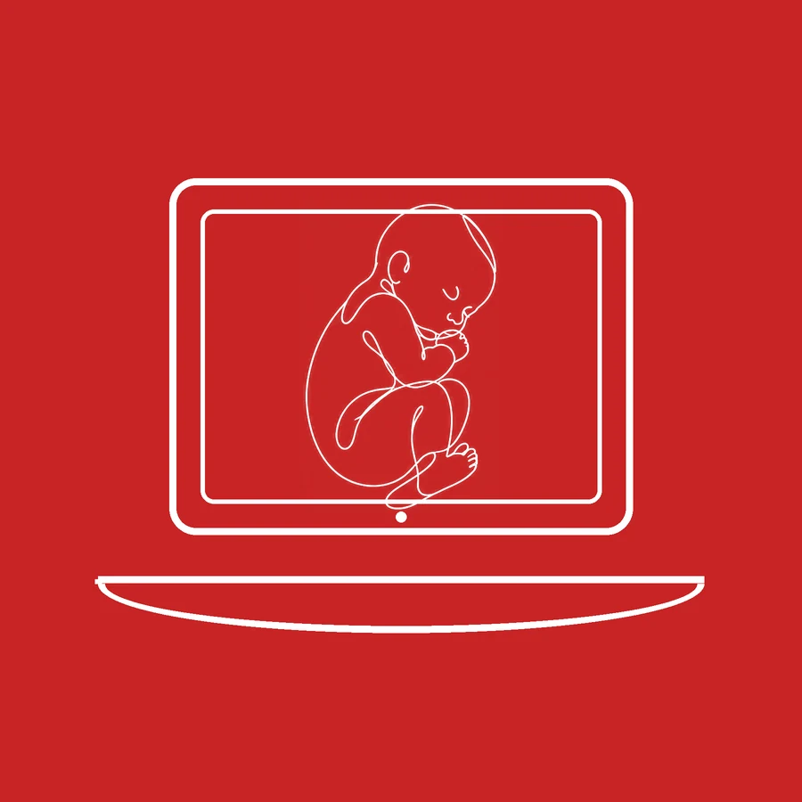 Ilustración de línea blanca sobre fondo rojo: computador con un recién nacido en pantalla