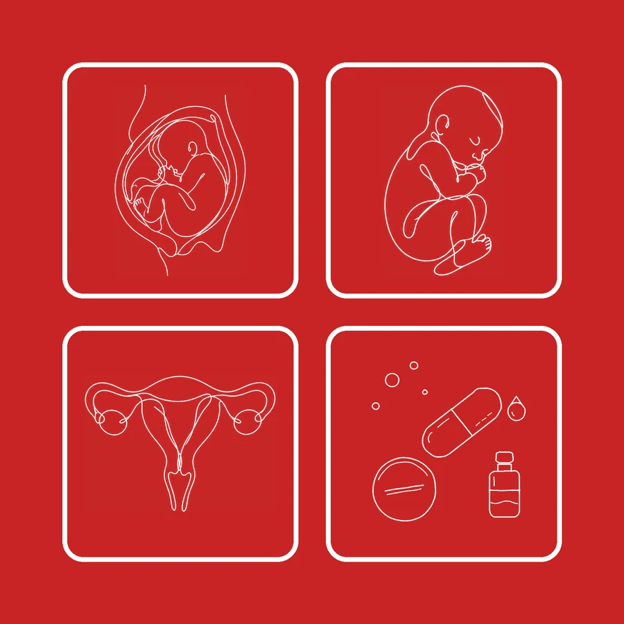 Ilustración de línea blanca sobre fondo rojo: cuatro secciones del fichero